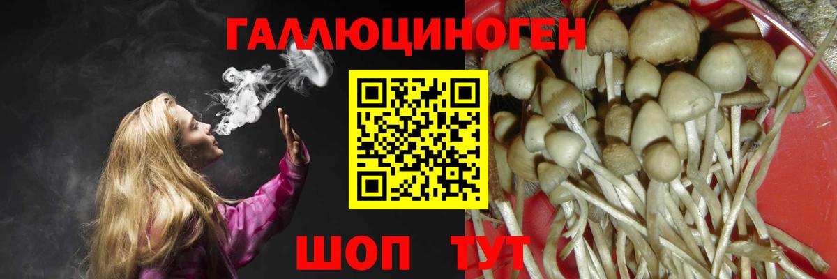 Галлюциногенные грибы GOLDEN TEACHER  даркнет сайт  Красноперекопск  Галлюциногенные грибы мицелий  Вход с VPN 